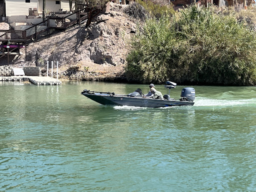 Photo from customer review