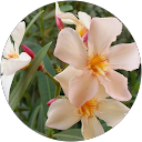 Janet H profile picture