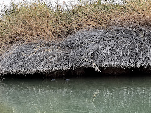 Photo from customer review