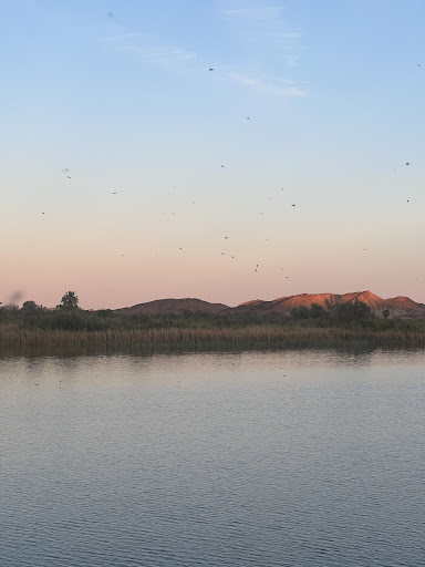 Photo from customer review