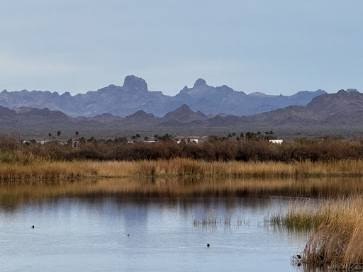 Photo from customer review