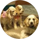 Margy Erskine profile picture